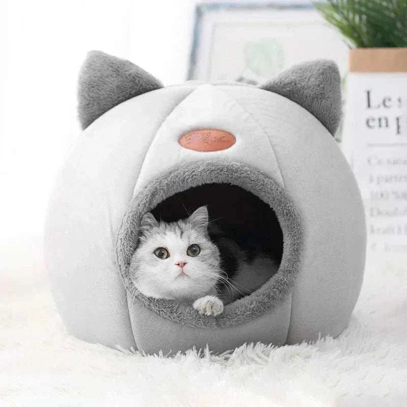 Comfort Bed