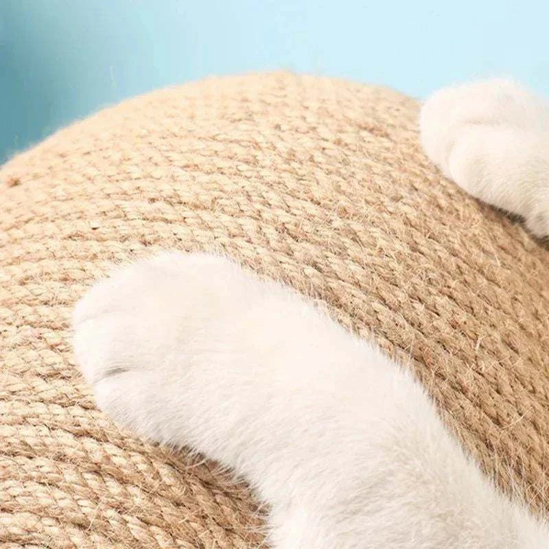 Cat's paw on durable Cat Scratching Ball with textured surface.