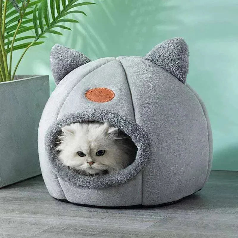 Comfort Bed