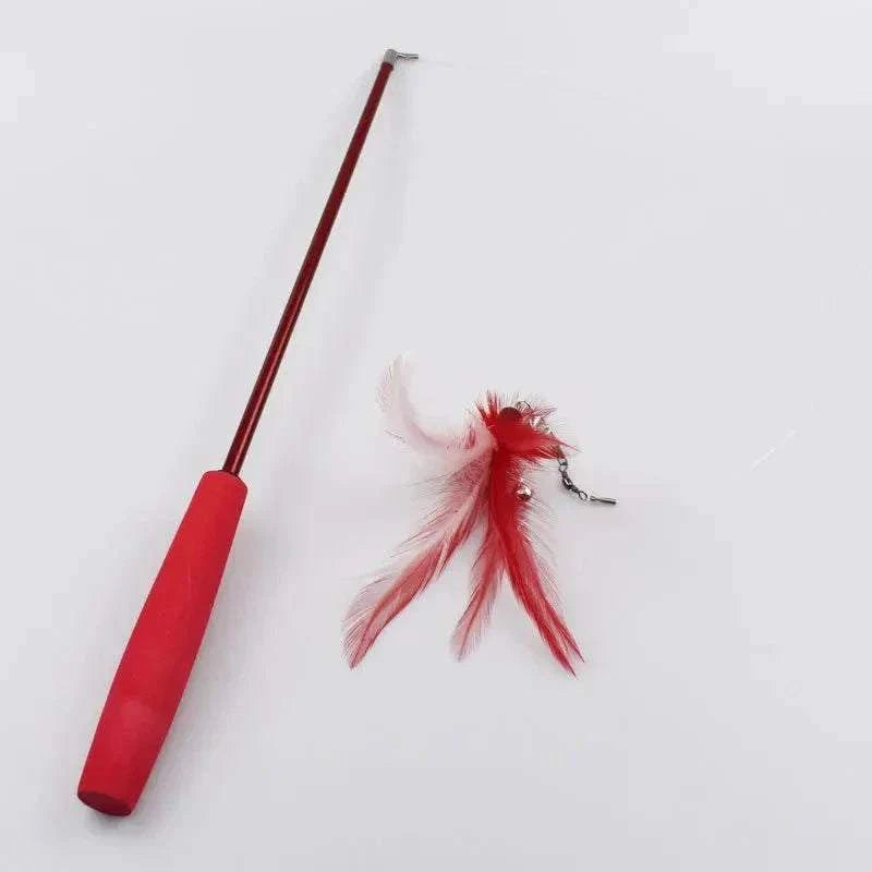 Feather Wand