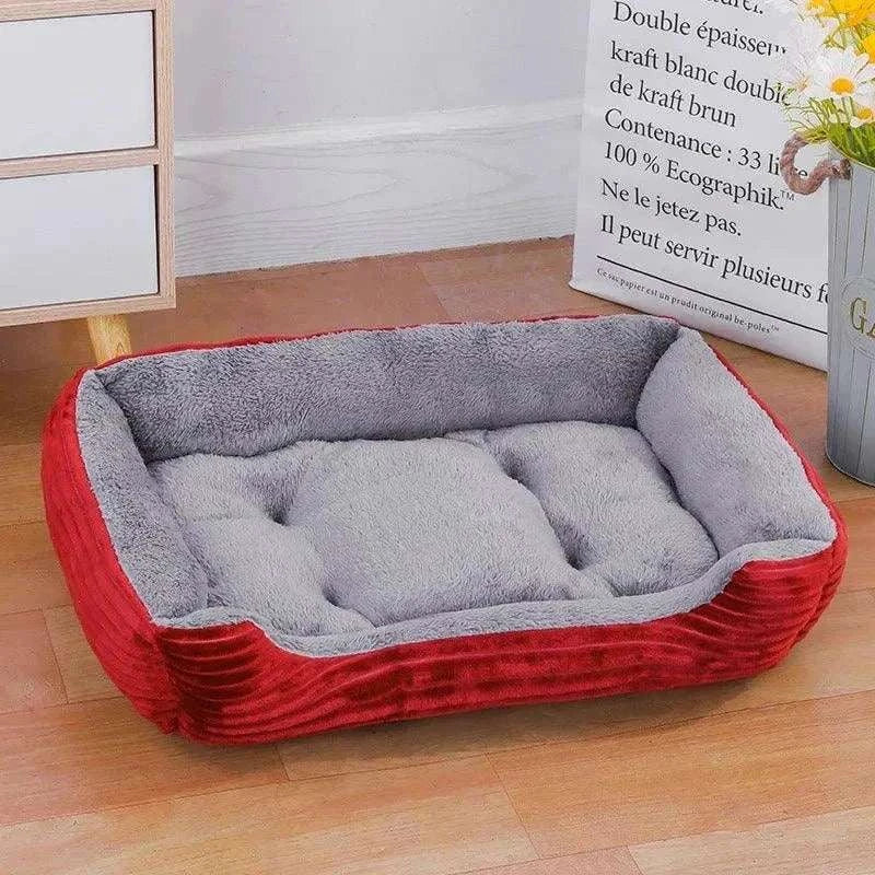 Cat Lounge