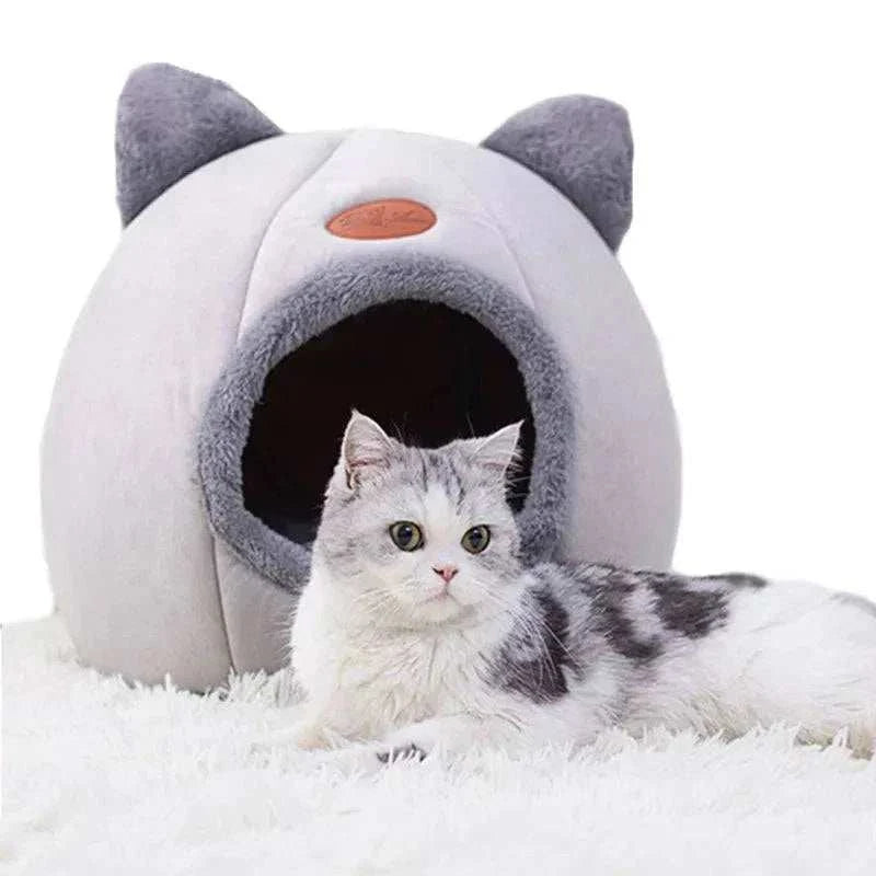 Comfort Bed