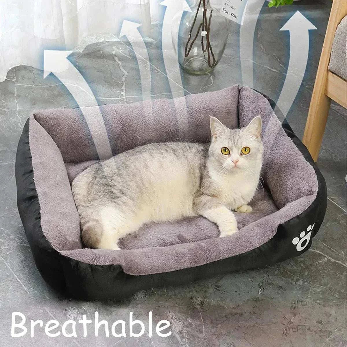 Cat Lounge