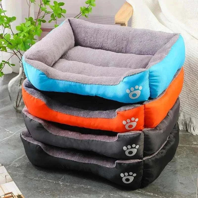 Cat Lounge