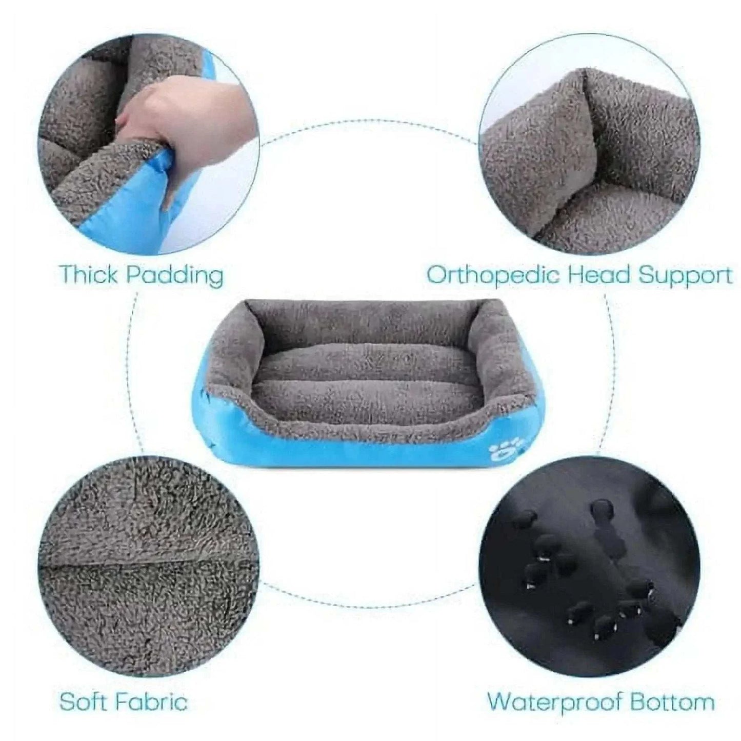 Cat Lounge