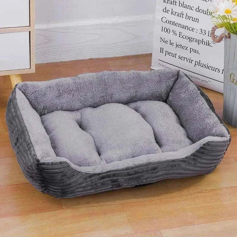 Cat Lounge