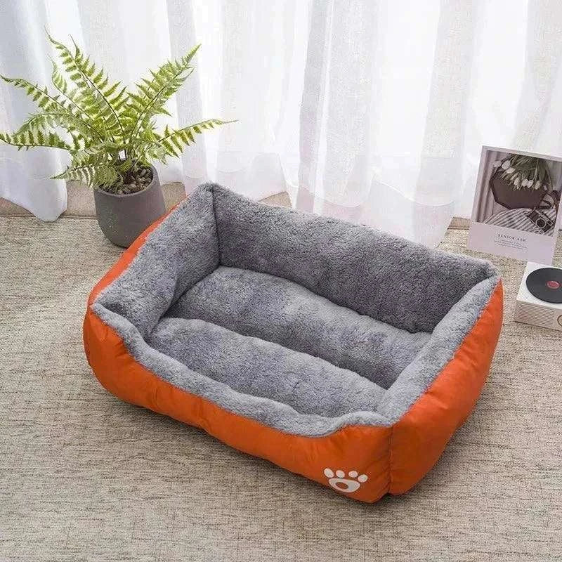Cat Lounge