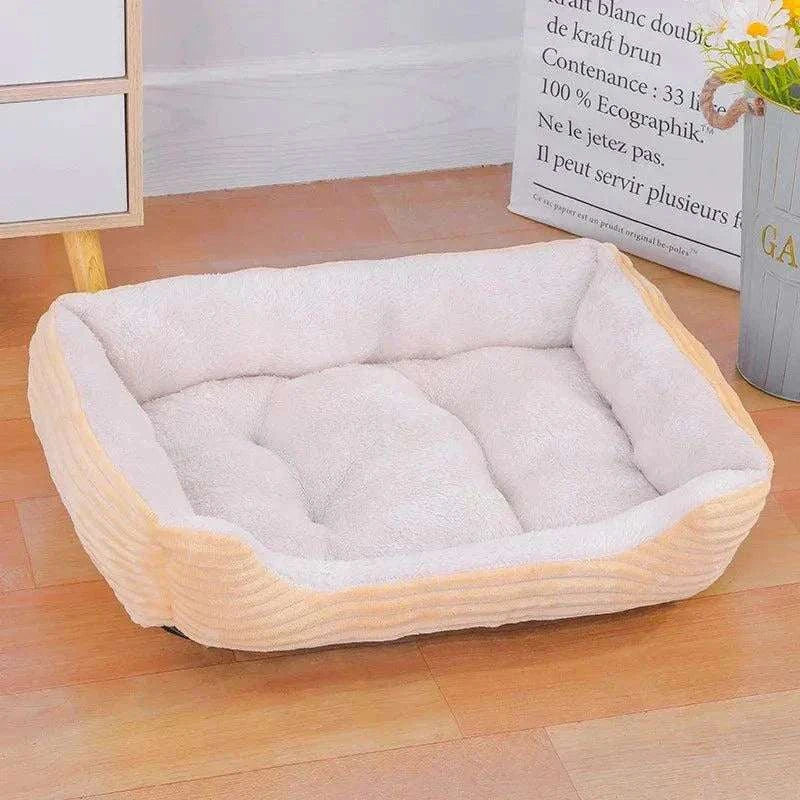 Cat Lounge