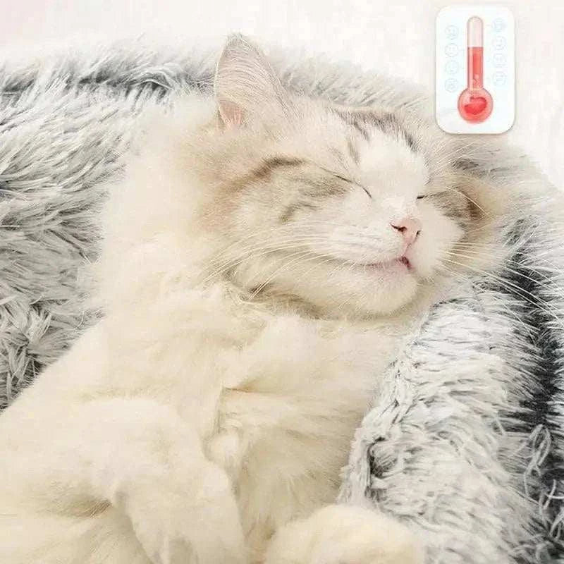 Pet nest