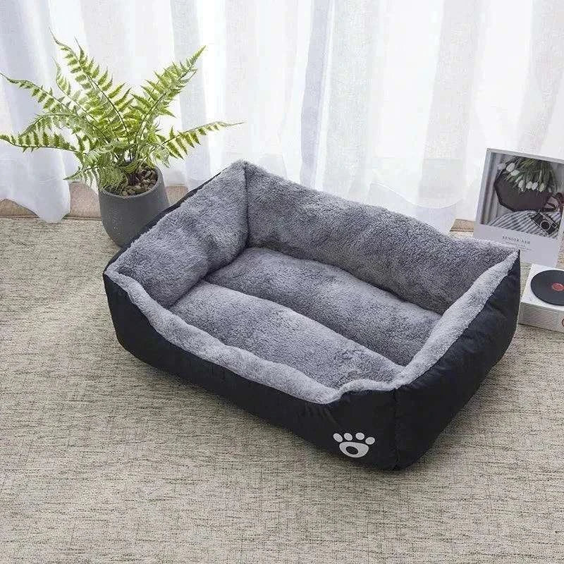 Cat Lounge