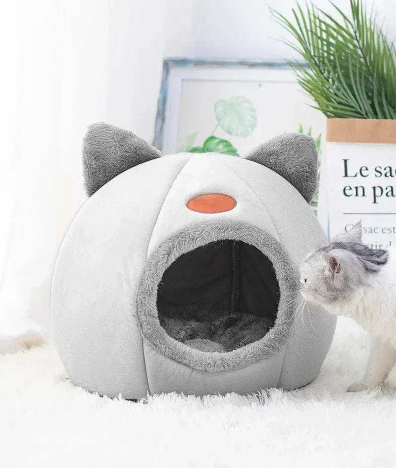 Comfort Bed