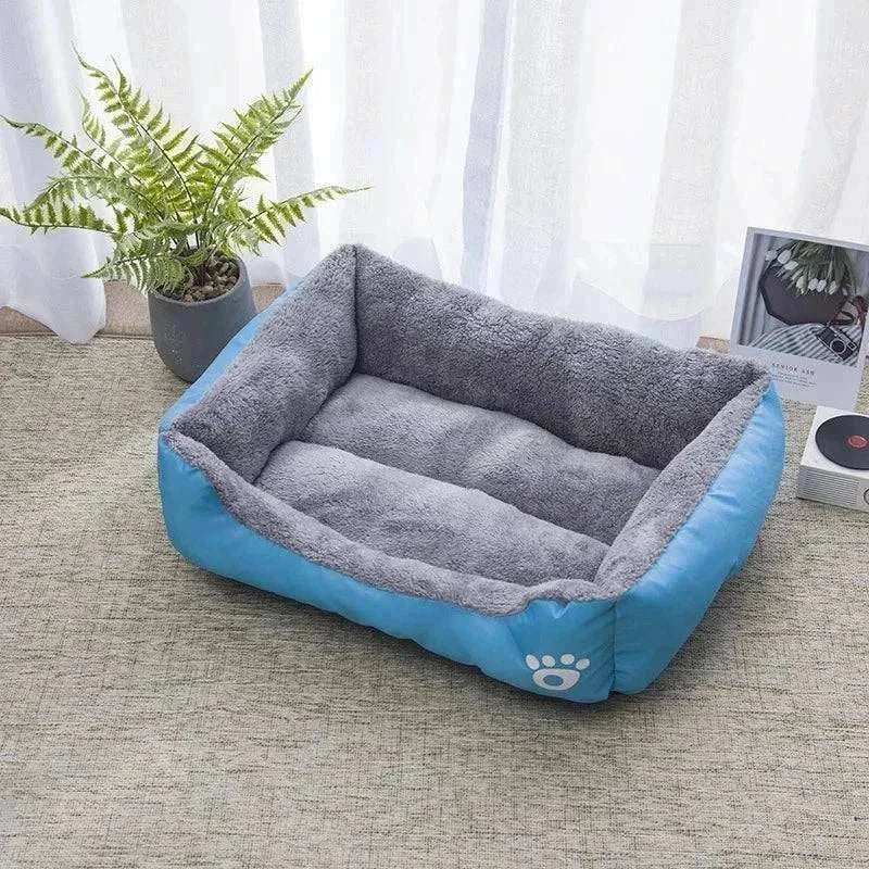 Cat Lounge
