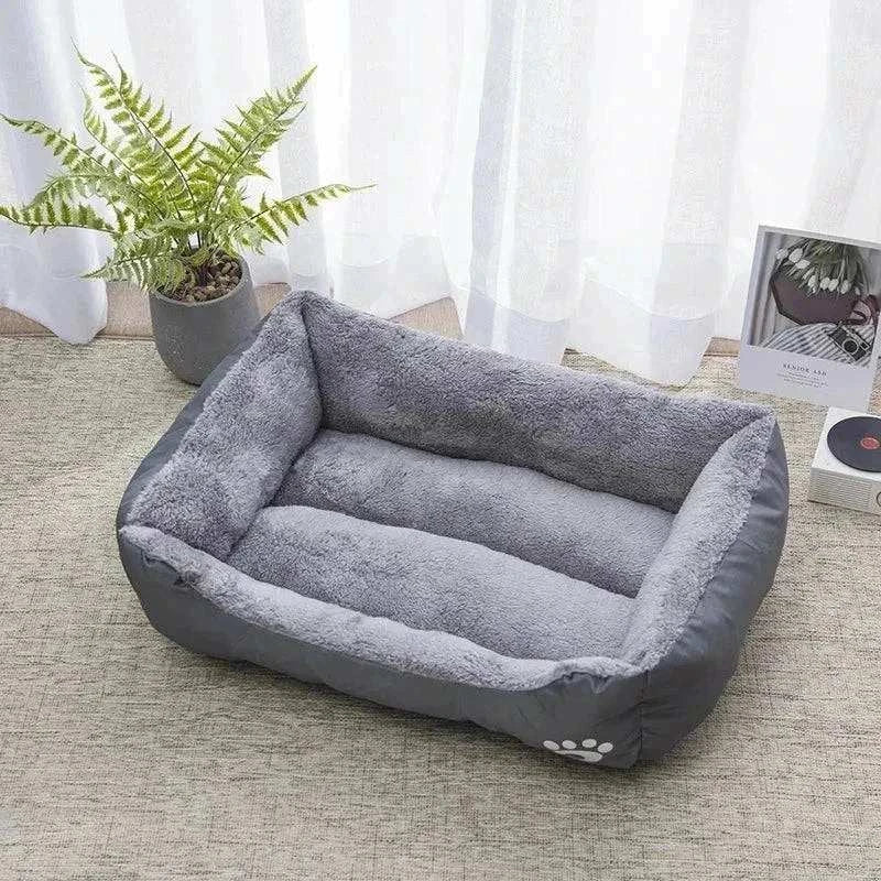 Cat Lounge