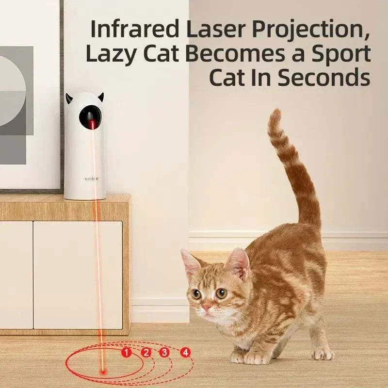 Pet Laser