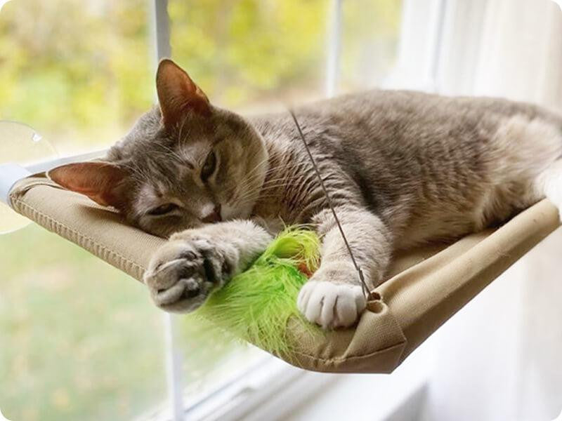 Cat lounging on a Cat Window Perch with sturdy suction cups.