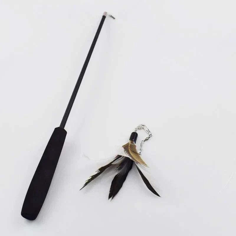 Feather Wand