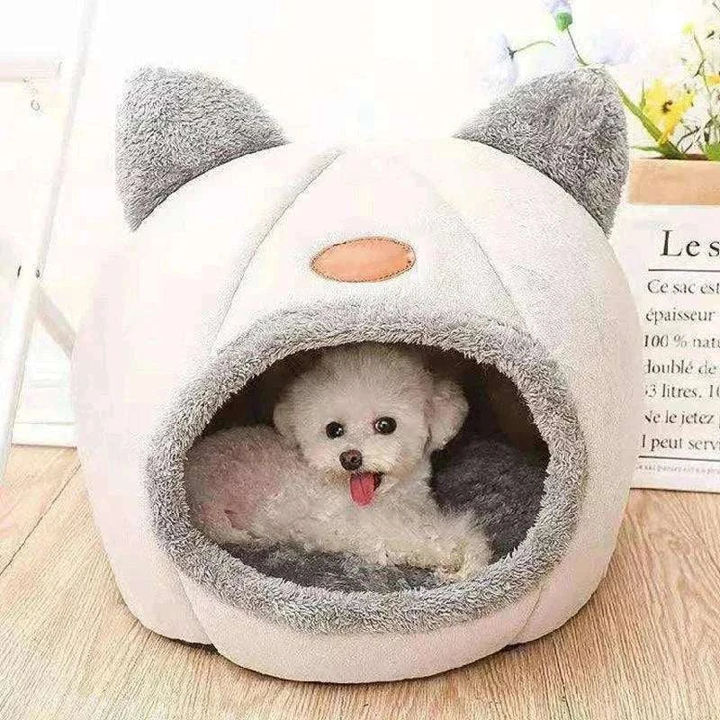 Comfort Bed