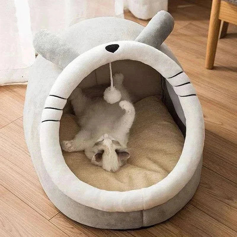 Cozy Beds