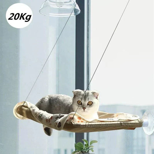 Cat enjoying the view from a sturdy window perch hammock with upgraded suction cups, supporting up to 20kg.